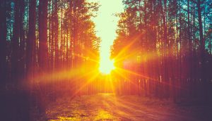 Sonnenschein