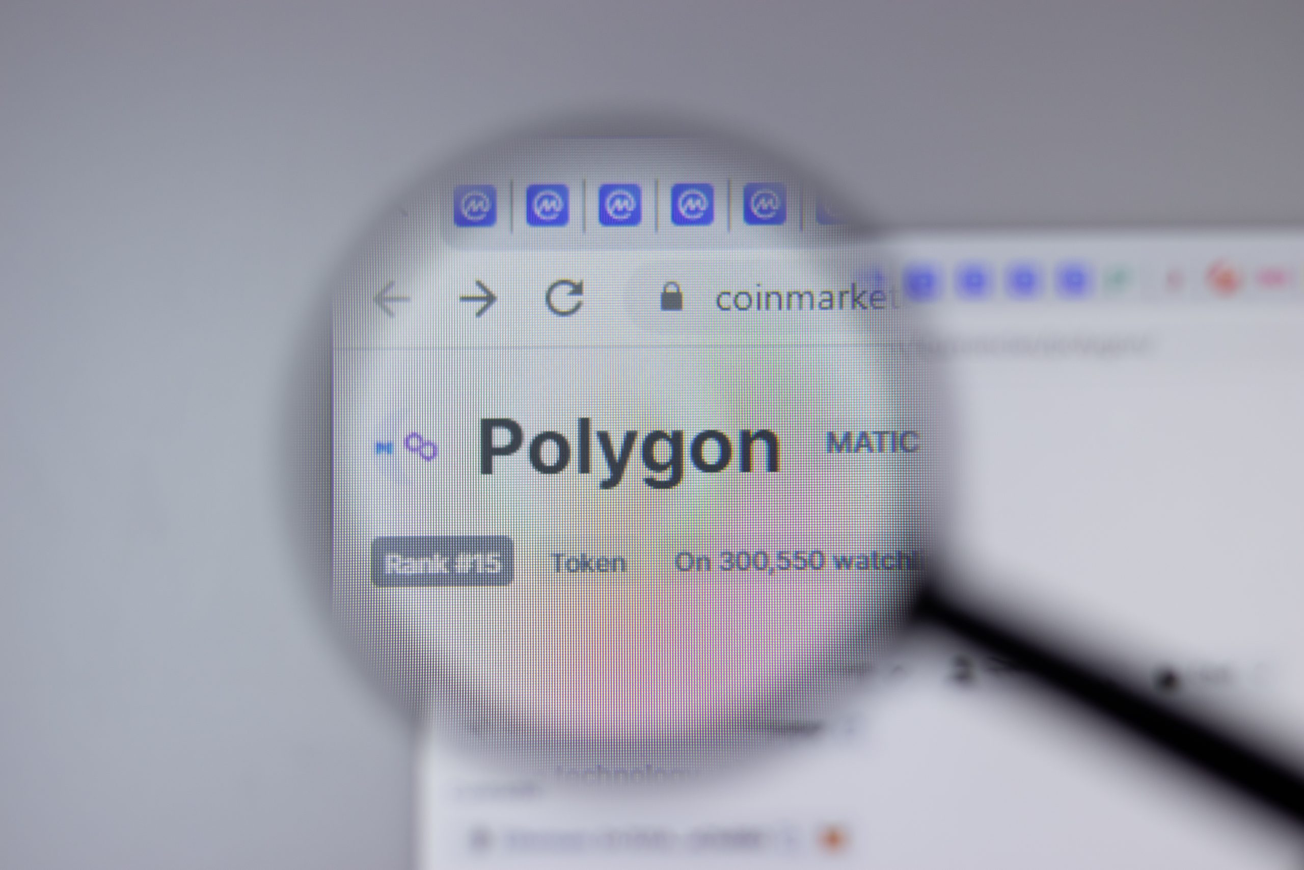 Polygon Logo