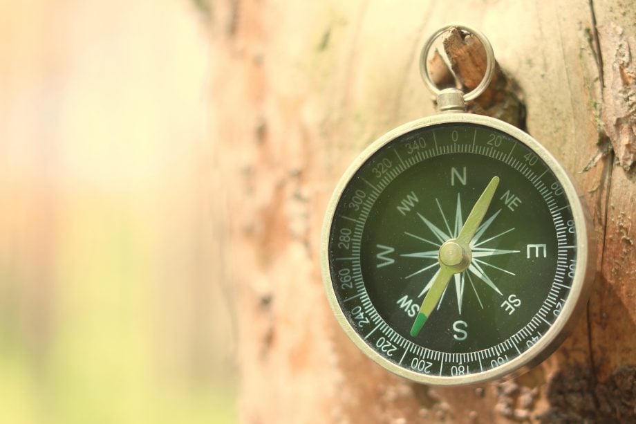 Norden oder Süden: Wohin verschlägt es den Bitcoin-Kurs? Ein Kompass hängt an einem Baum.