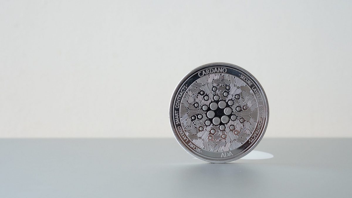 Komische Sekte Mike Novogratz Irritiert Uber Cardano Marktwert