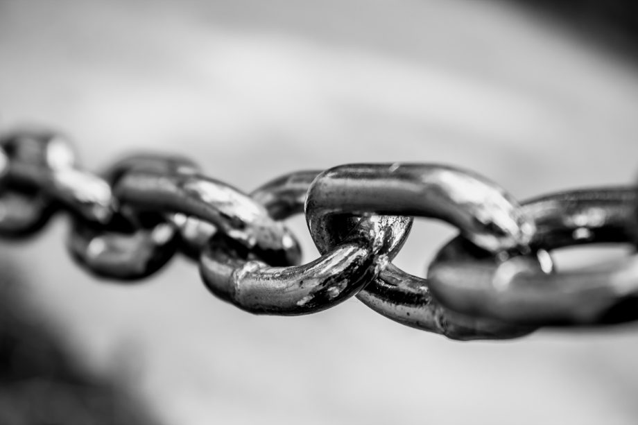 Brückenschlag: Cardano und Nervos werden interoperabel Kette