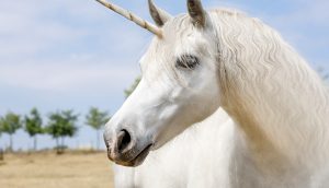 Ein Unicorn.