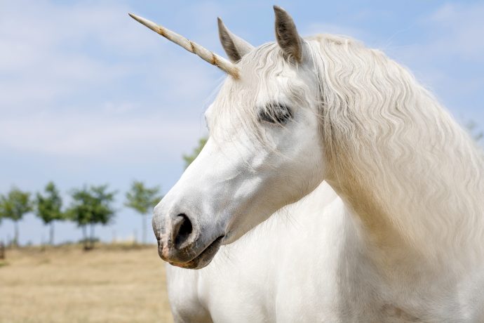 Ein Unicorn.