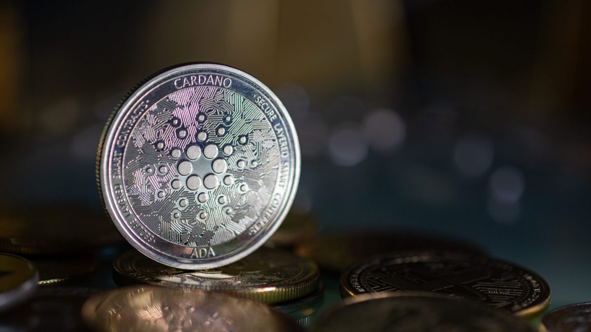 Cardano Rekordhoch Alonzo Katapultiert Ada Kurs