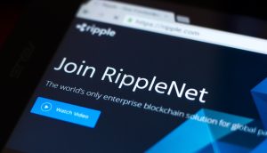 Die Webseite des RippleNet.