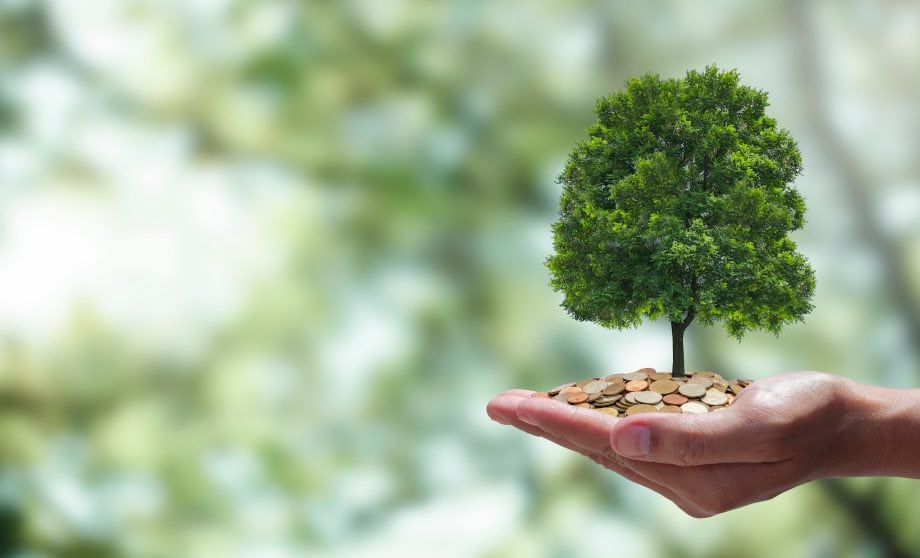 SkyBridge wiegt Bitcoin-Reserven mit CO2-Zertifikaten auf | BTC-ECHO CO2-Emissionen