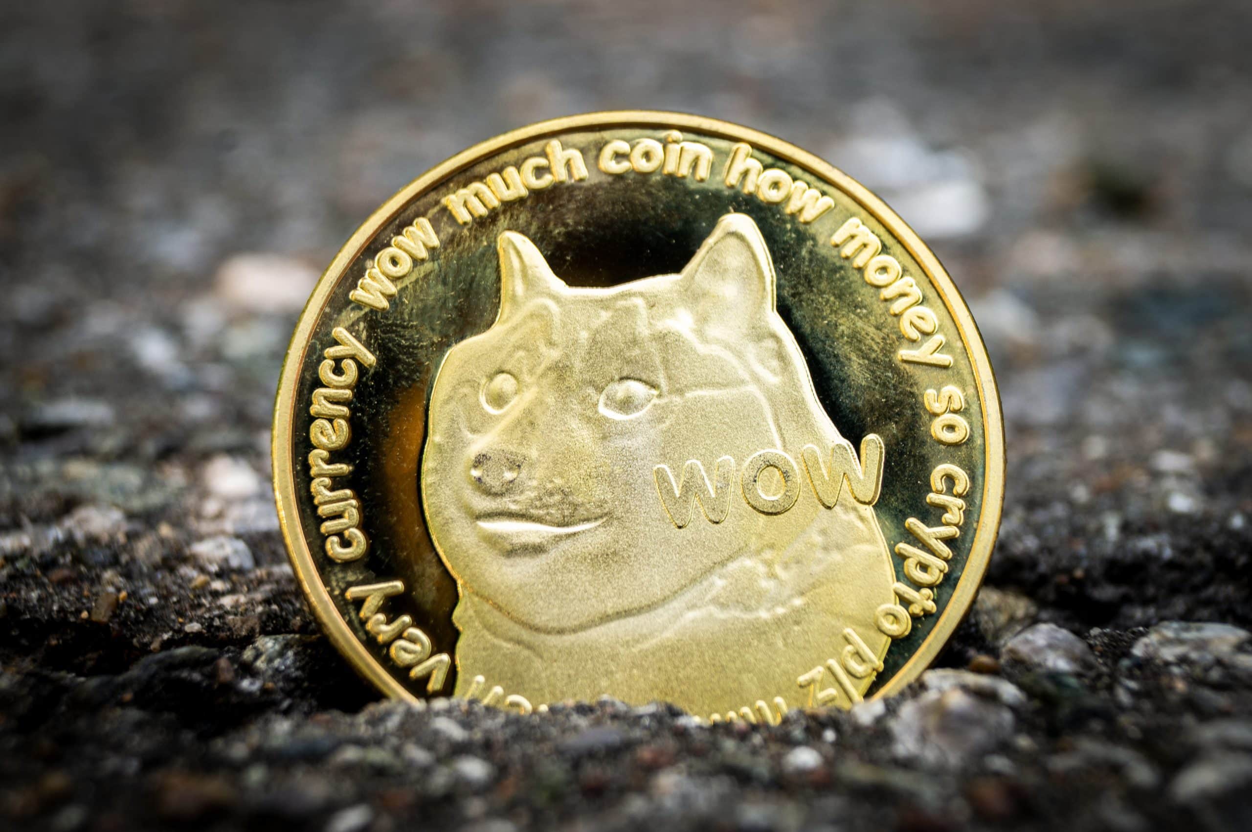 Dogecoin DOGE