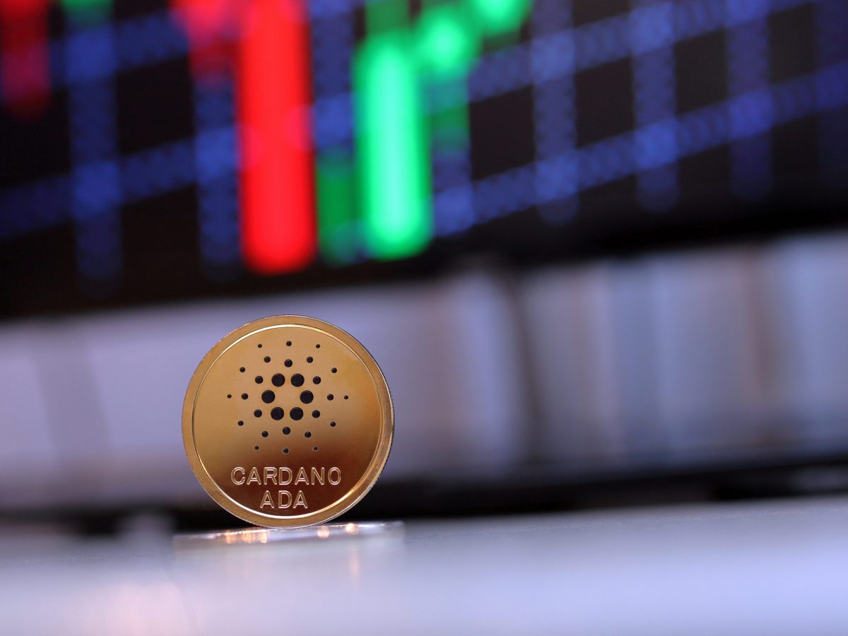 Ich Verachte Kursanalysen Cardano Ceo Weist Crash Szenario Zuruck