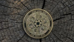 Cardano-Münze (ADA) auf Baumstumpf