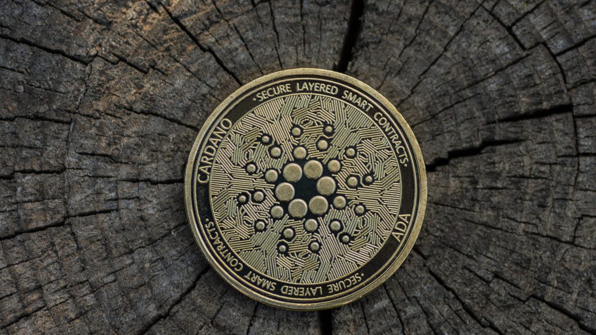 Cardano Outperformt Die Top 50 Termin Fur Smart Contracts Steht Fest