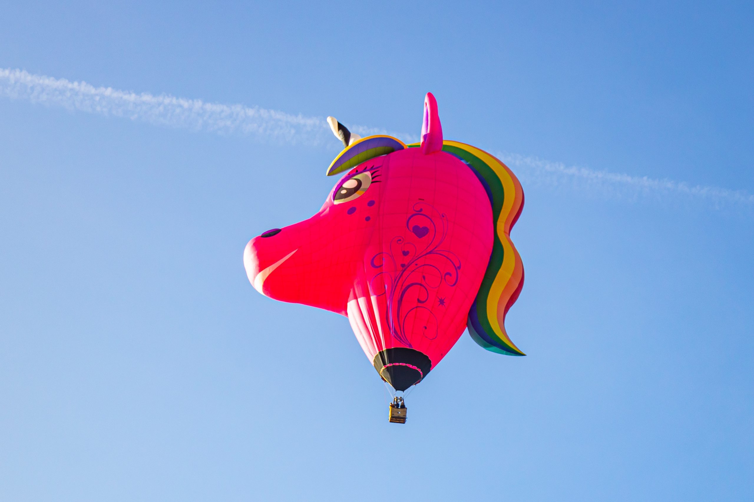 Ein Einhorn-Ballon