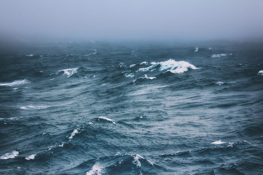 NFT-Markt dreht frei – exponentielles Wachstum bei OpenSea Open Sea
