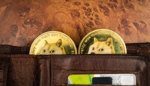 Zwei Dogecoin-Münzen gucken aus einer Geldbörse hervor