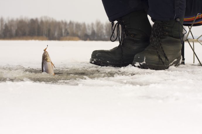 Fischer angelt Fisch aus einem Eisloch