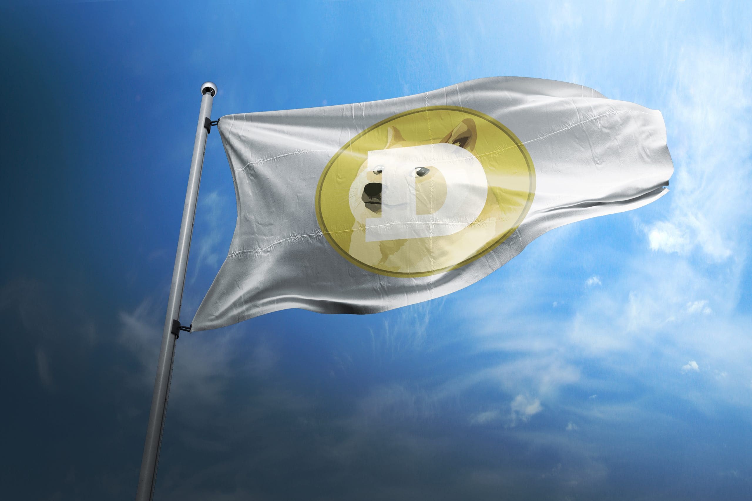 Dogecoin Münze auf weißer Flagge