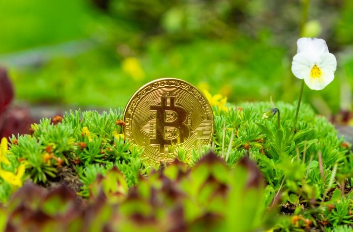 Bitcoin-Münze in der Natur.