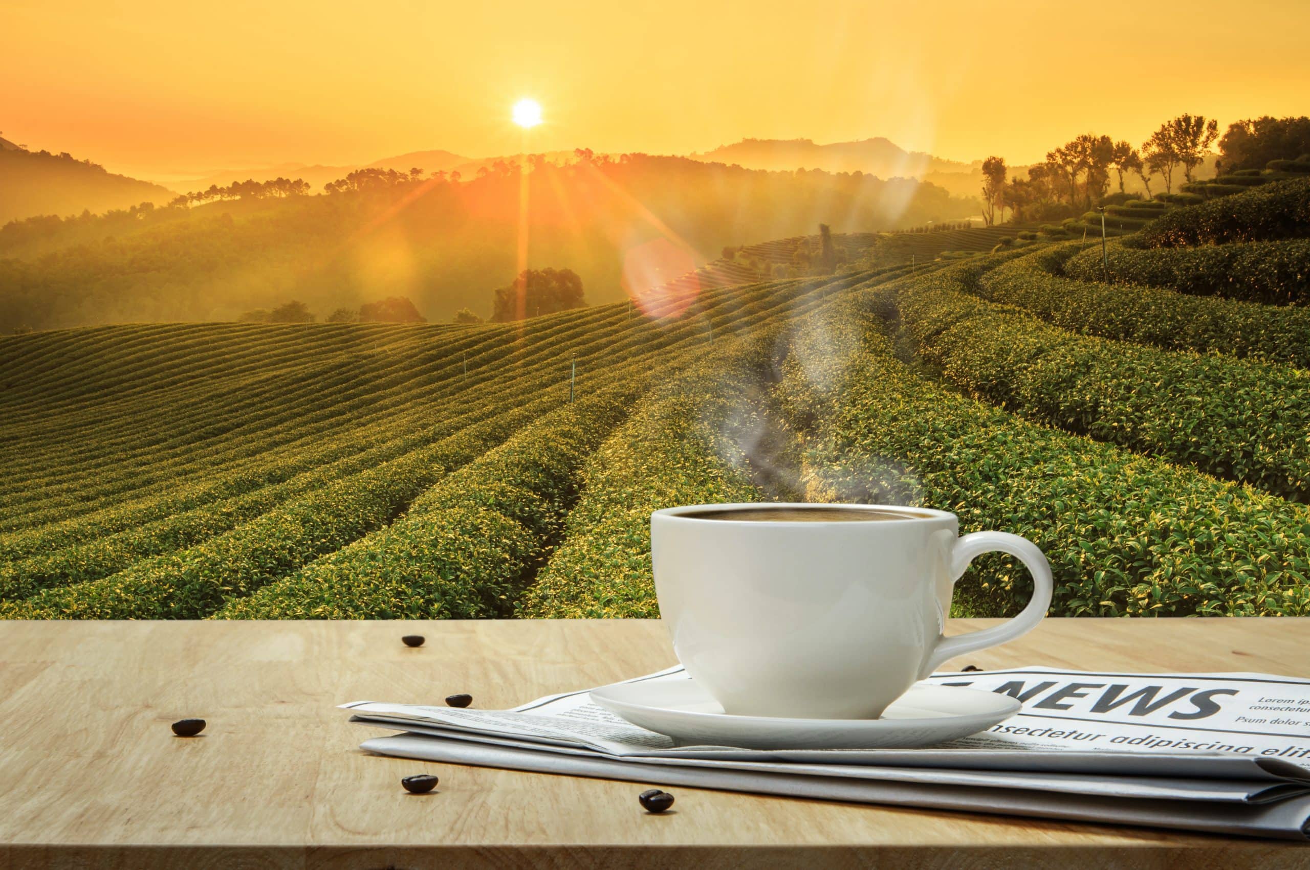 Kaffee Tasse, auf Zeitung und vor Sonne