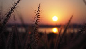 Sonne