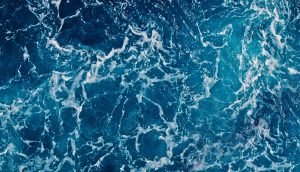 Wasser