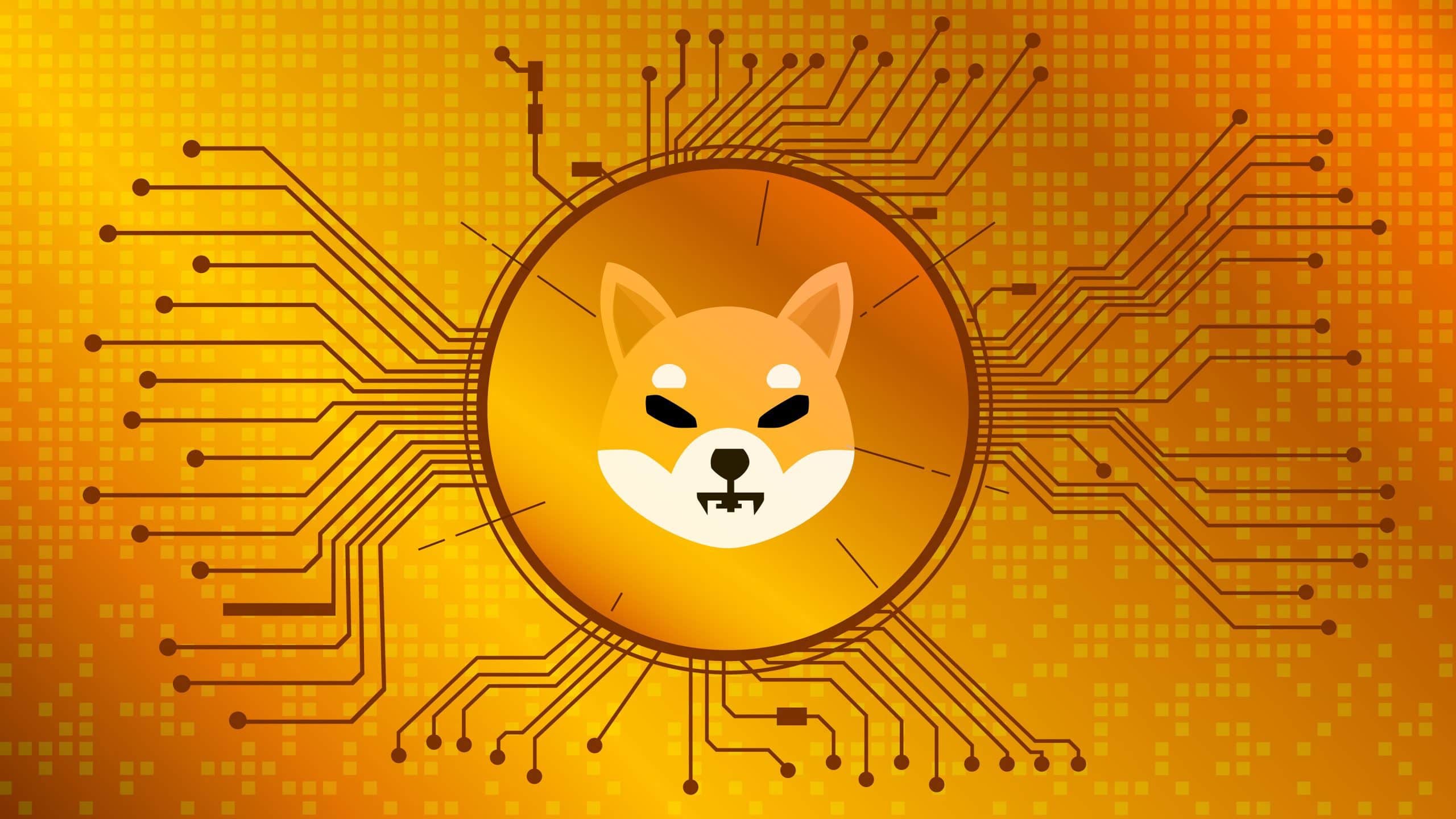 Shiba Inu Coin face