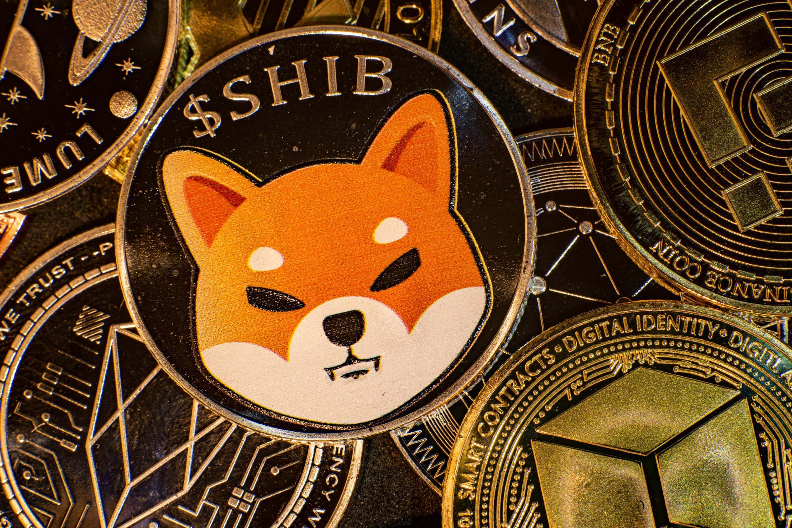 shiba inu crypto wallet