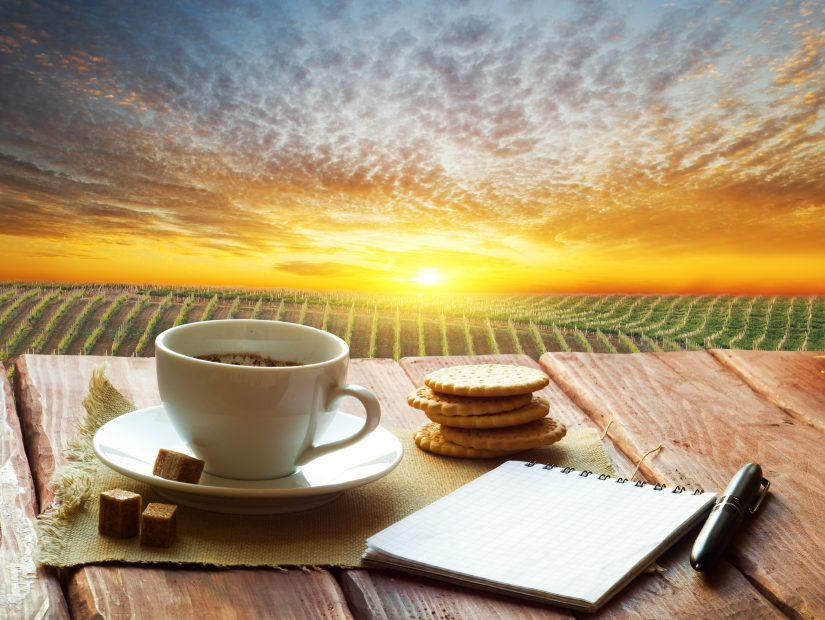 Die wichtigsten Krypto-News der Woche Getränk und Tasse stehen vor malerischem Hintergrund