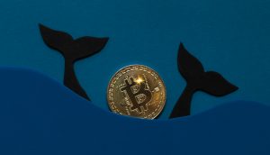 Bitcoin-Wale
