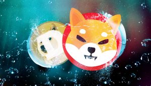 Memecoins wie Shiba Inu und Dogecoin als Blase dargestellt