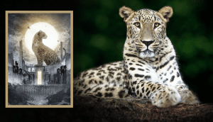 Persischer Leopard als NFT und NFA