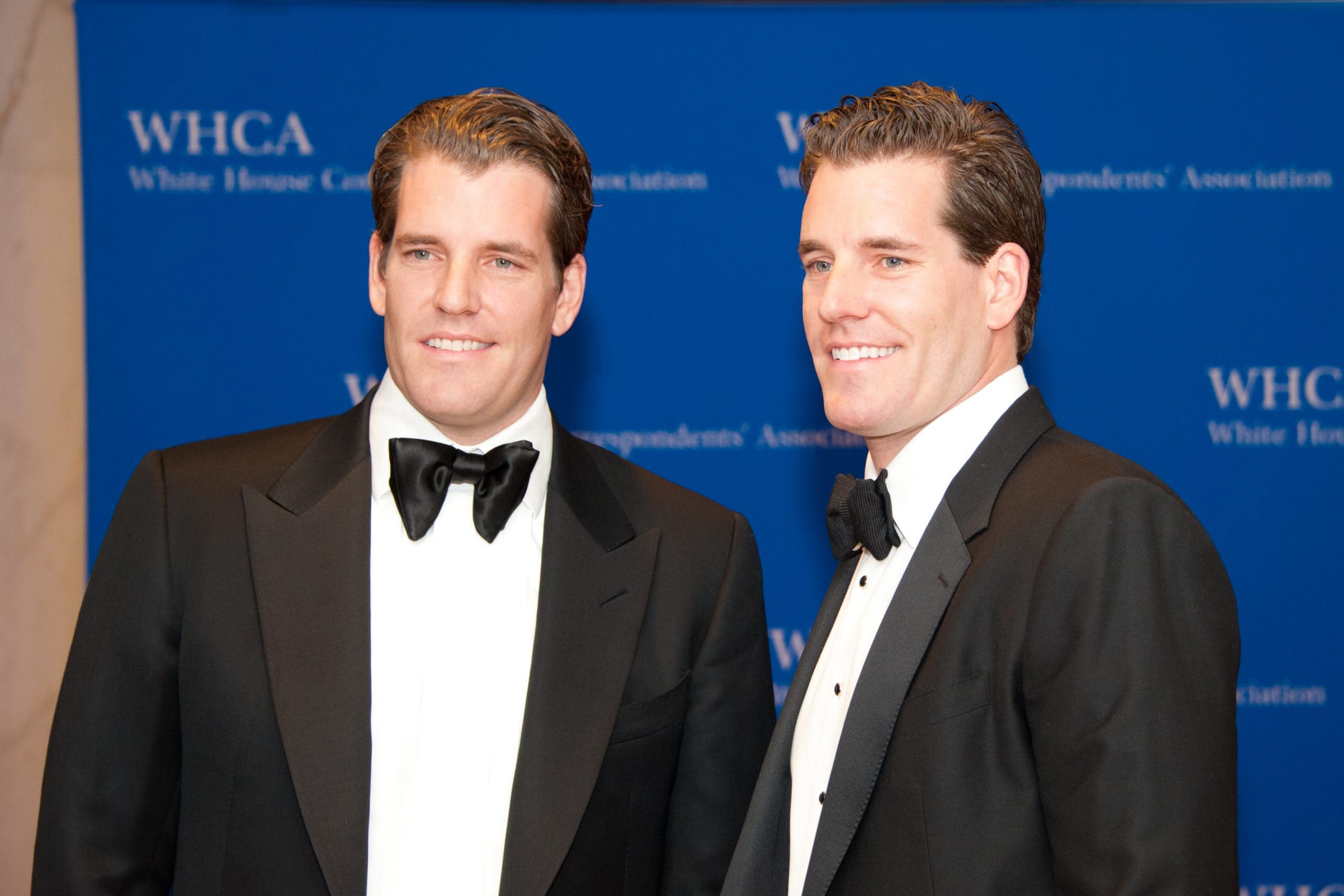 Winklevoss twins invest in metaverse