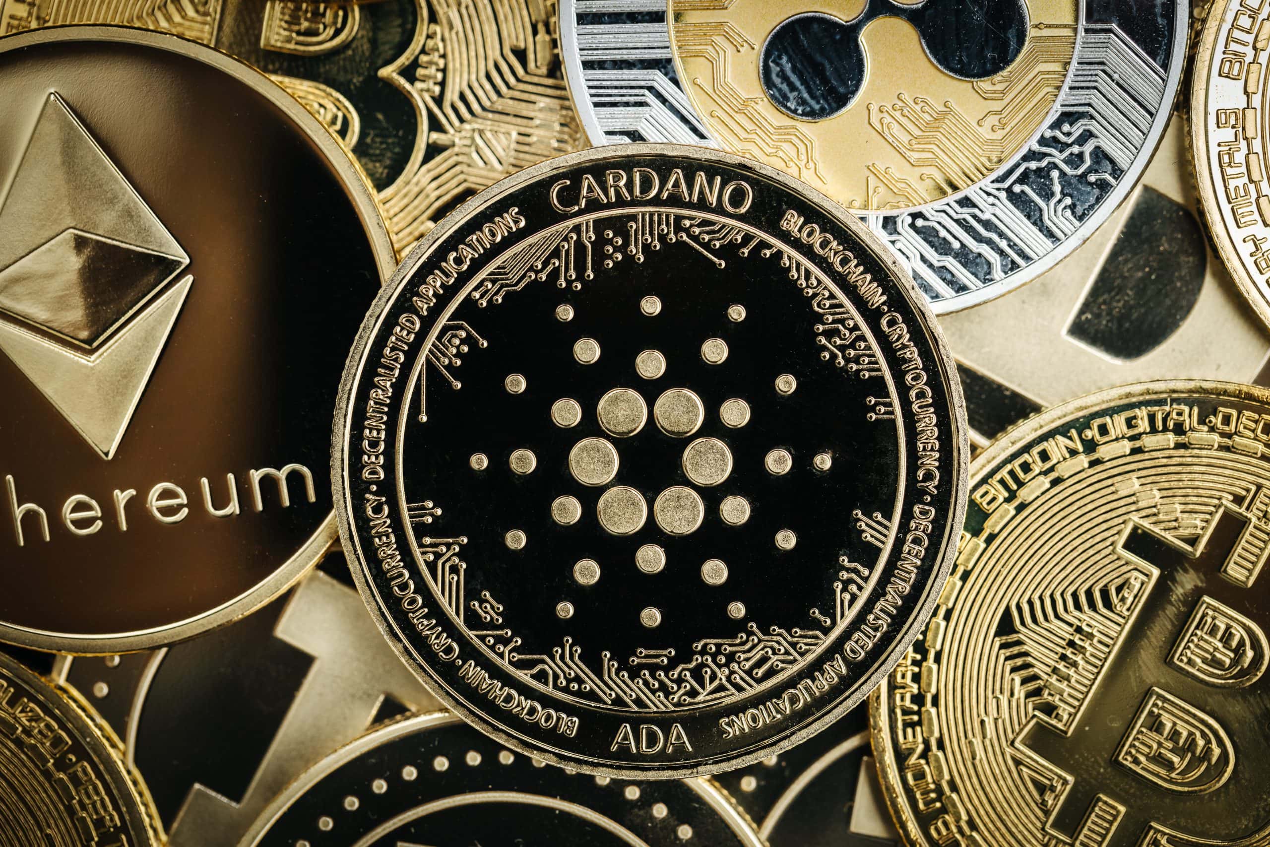 Privatsphäre: Wie es Hoskinson mit Cardano besser machen möchte