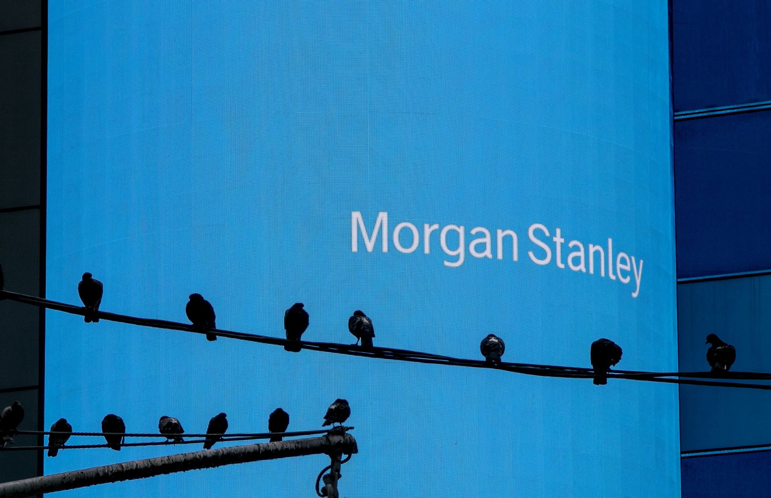 Morgan Stanley Logo mit Raben