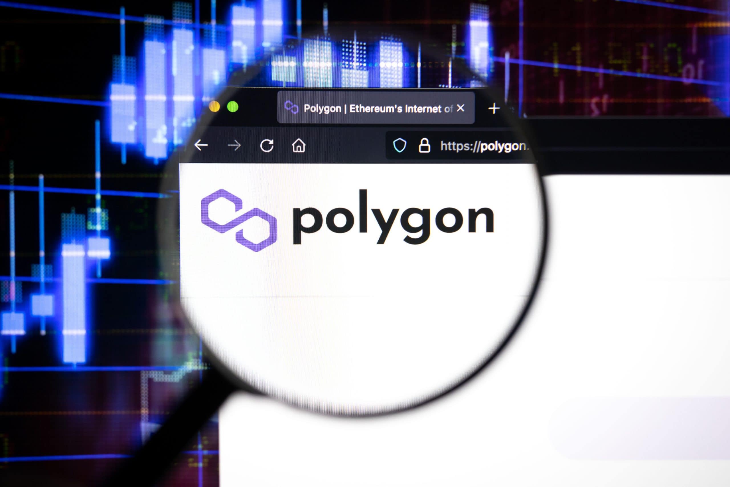 Bei Blockchain-Entwicklern ist Polygon sehr beliebt