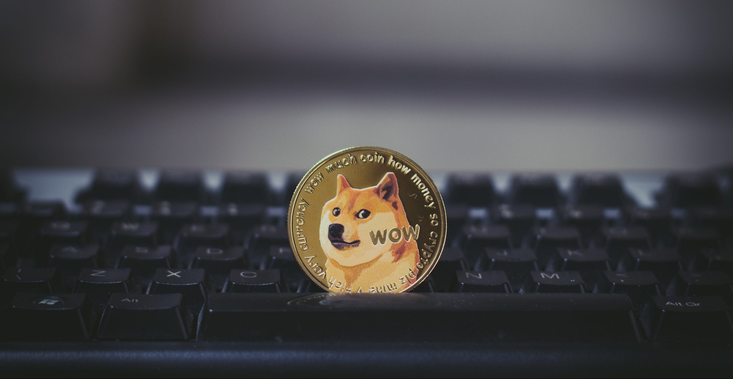 dogecoin münze krypto jahresrückblick