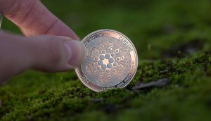 Cardano-Münze auf einer Wiese