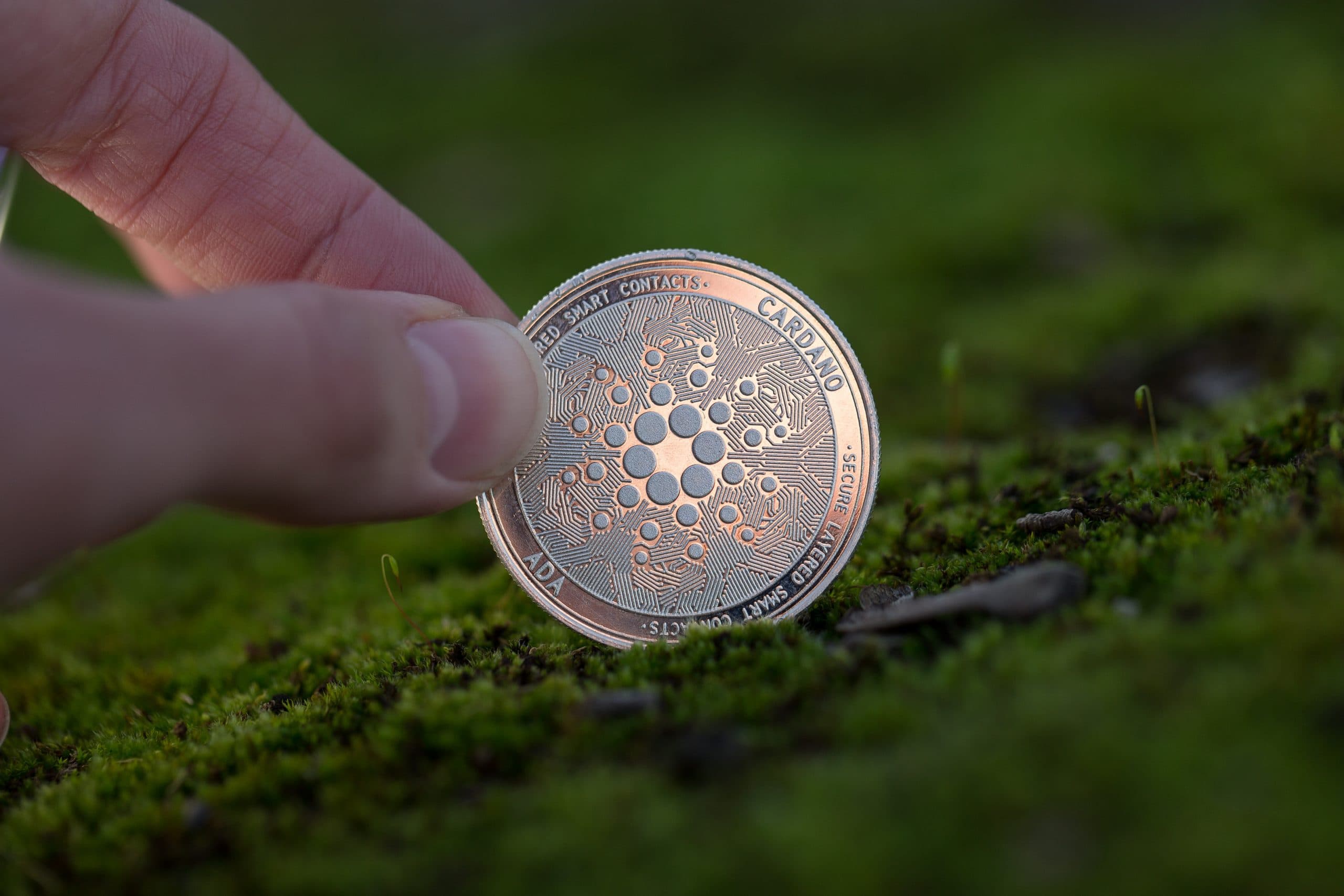 Cardano-Münze auf einer Wiese