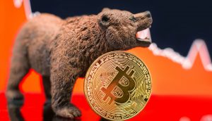 Bitcoin und Bär