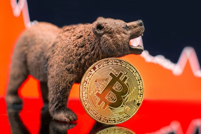 Bitcoin und Bär