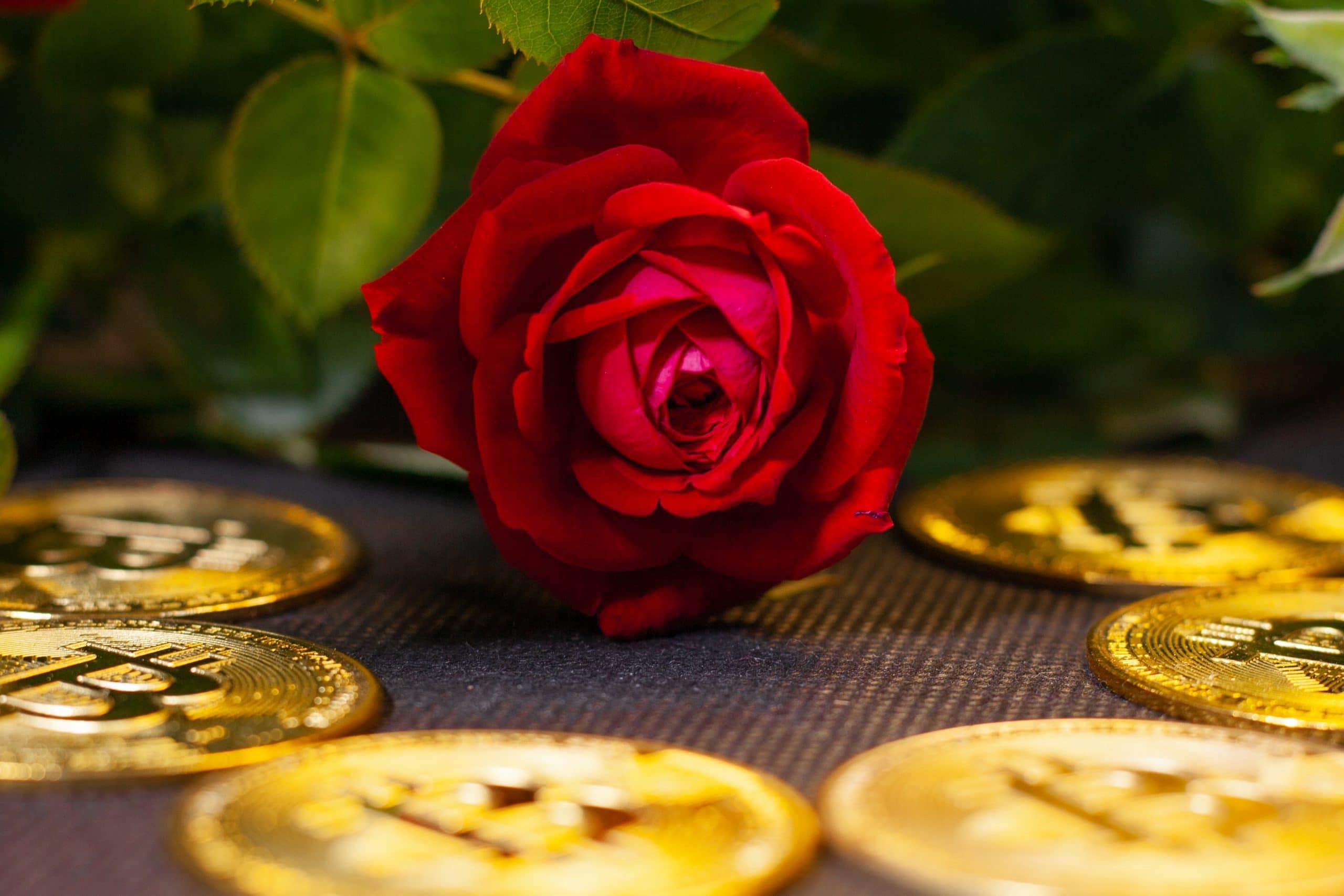 Valentinstag 2022 Bitcoin Rose