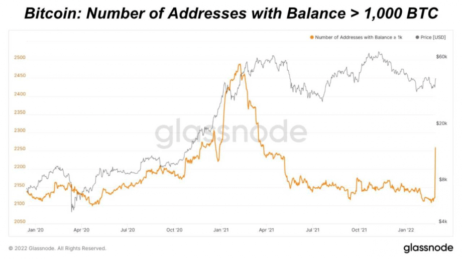 Glassnode Studie zu BTC Adressen