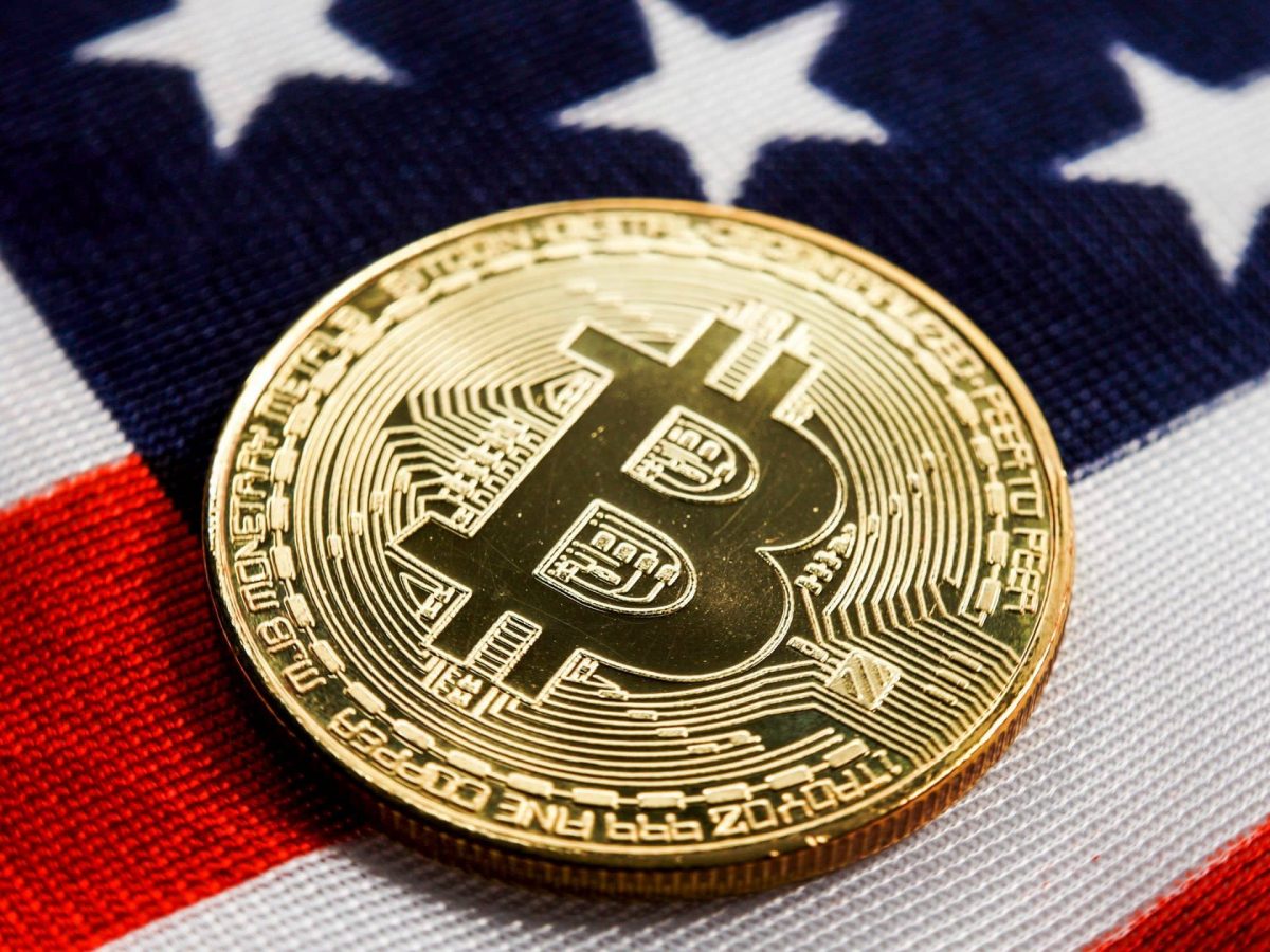 Aktuelle Wahlen- News | BTC-ECHO