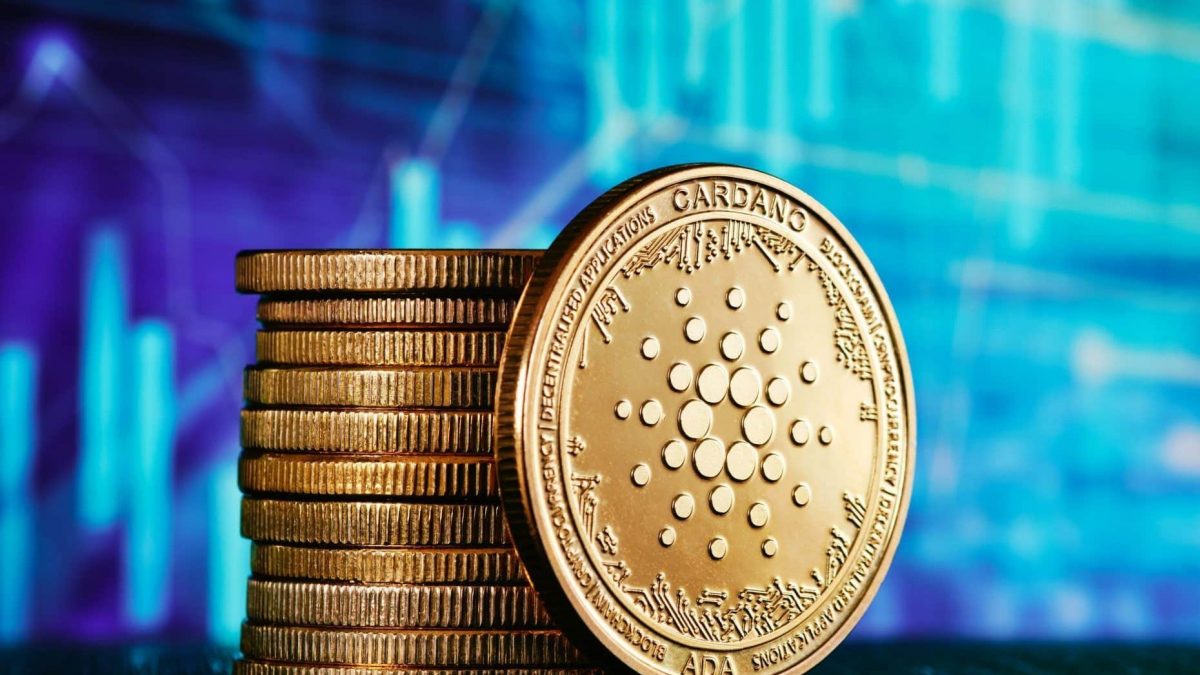 Von wegen dezentral? Cardano-Wale halten über 16 Prozent aller ADA