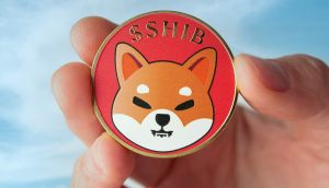 Shiba Inu