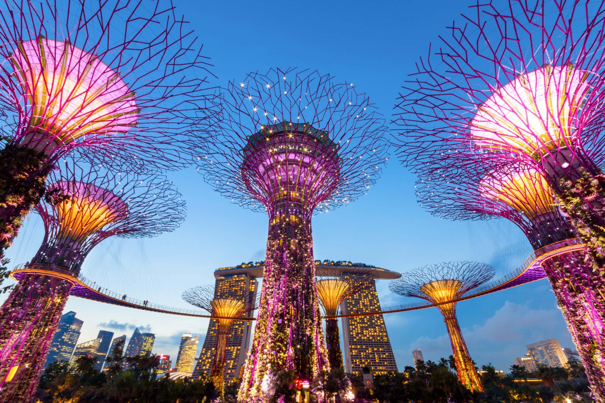 Gardens by the Bay in Singapur