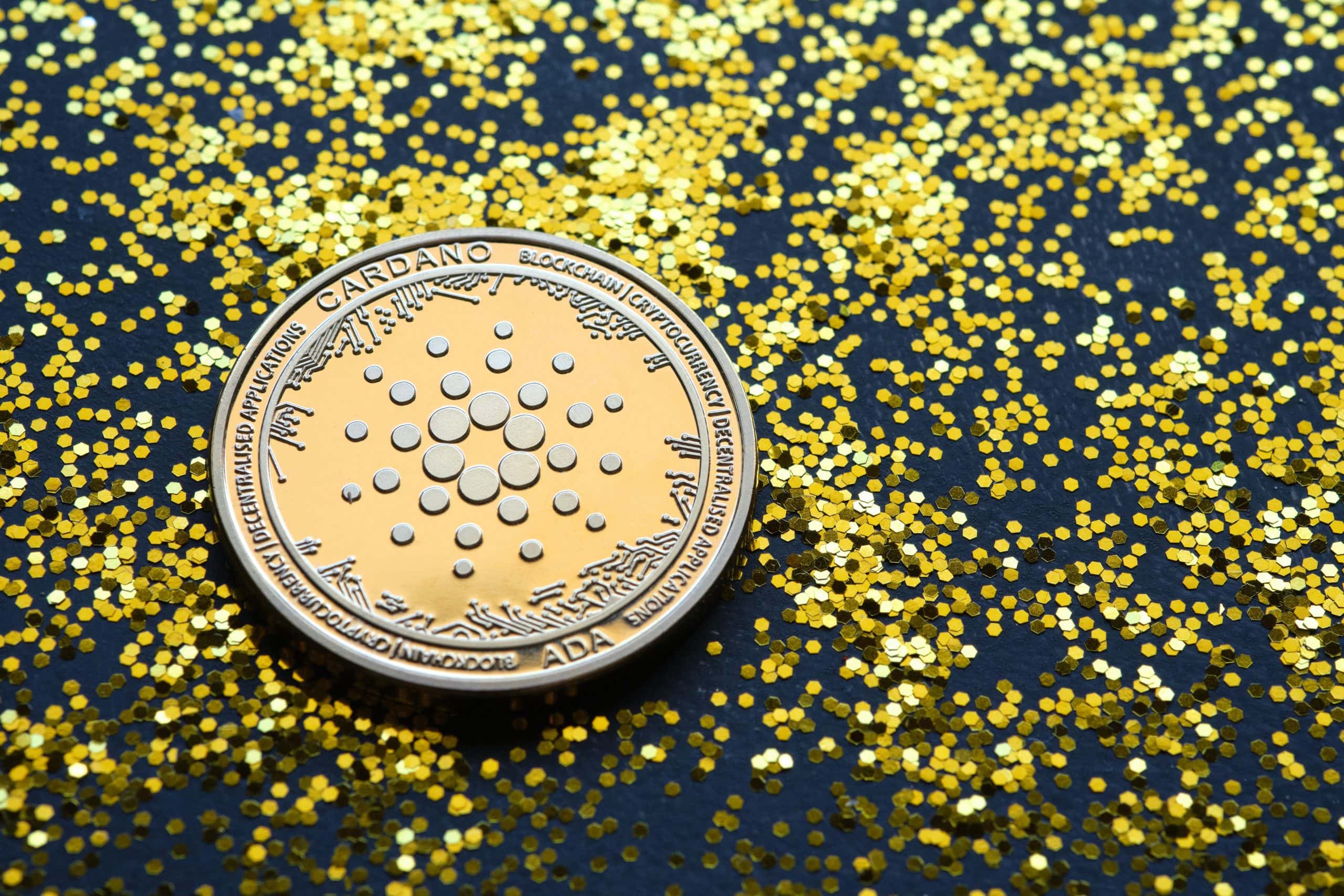 Vor Vasil: Cardano hat die höchste Entwicklerbeteiligung im Krypto-Space