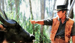 Die Australier wollen den Bitcoin-Bullen zähmen.