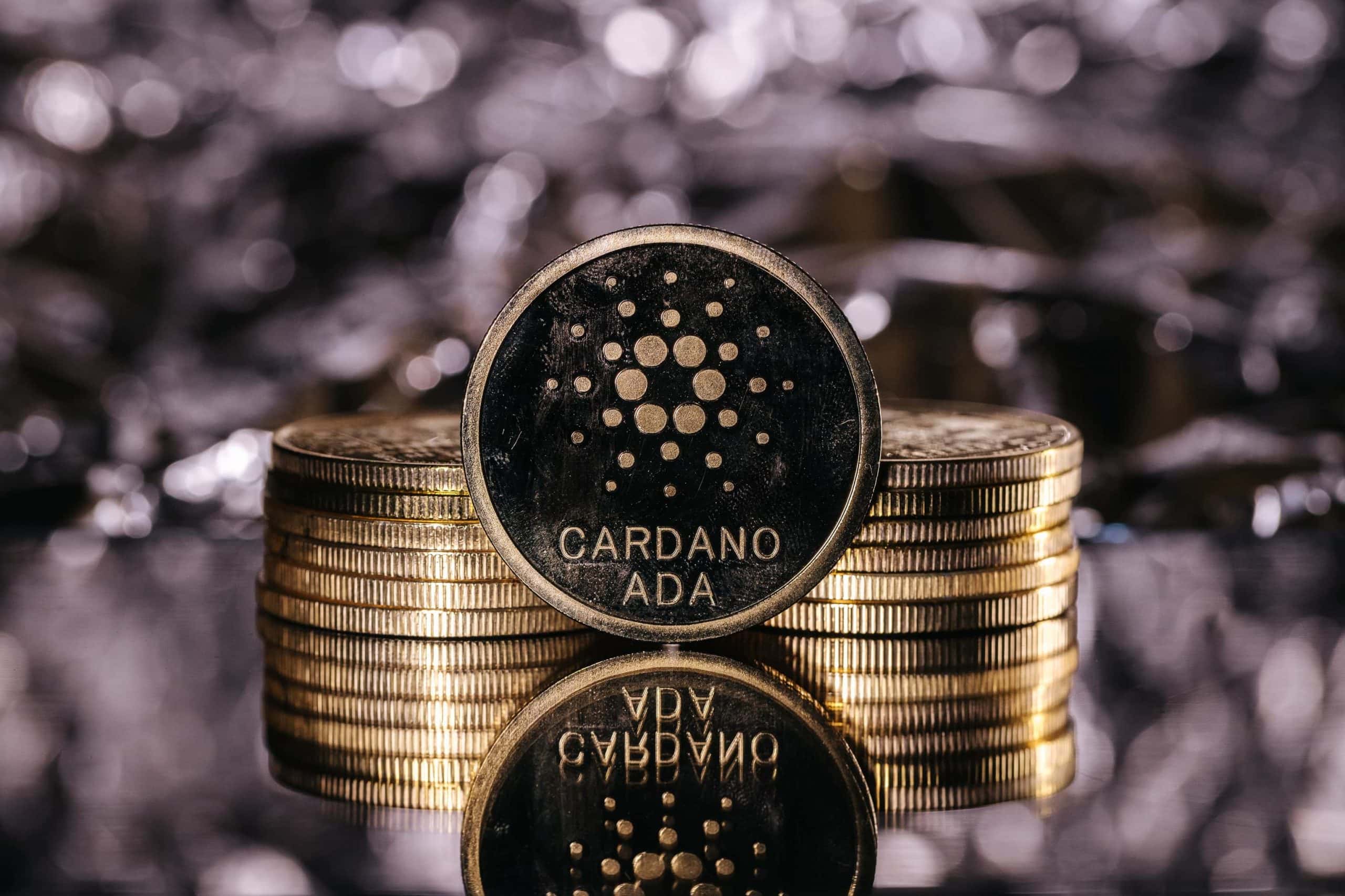 Cardano