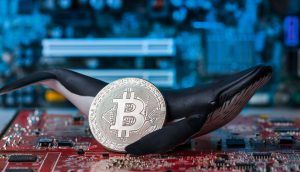Bitcoin-Münze mit Wal