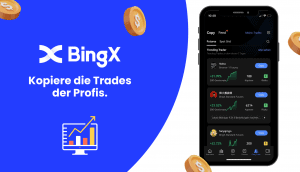 Bingx social trading academy