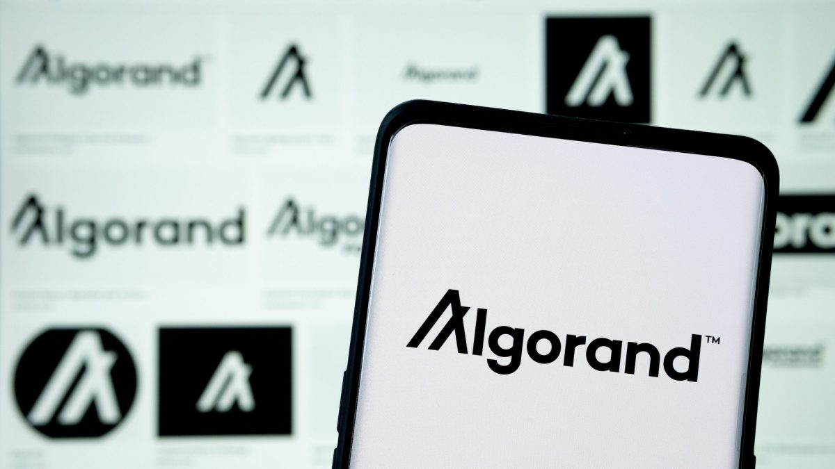 Algorand: Das steckt in der WM-Blockchain